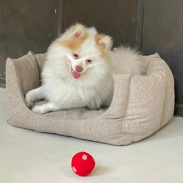 Polka Dot El Yapımı Kedi + Köpek Oyuncağı