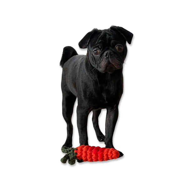 Handmade Carrot Toy
