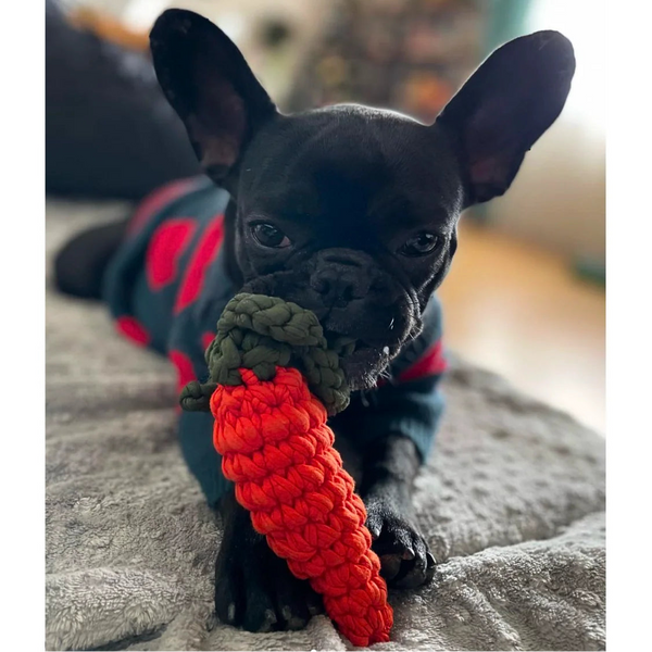 Handmade Carrot Toy