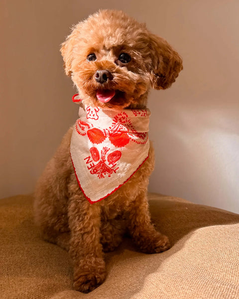 Kırmızı Lovefold Bandana - Pet + İnsan Aksesuarı