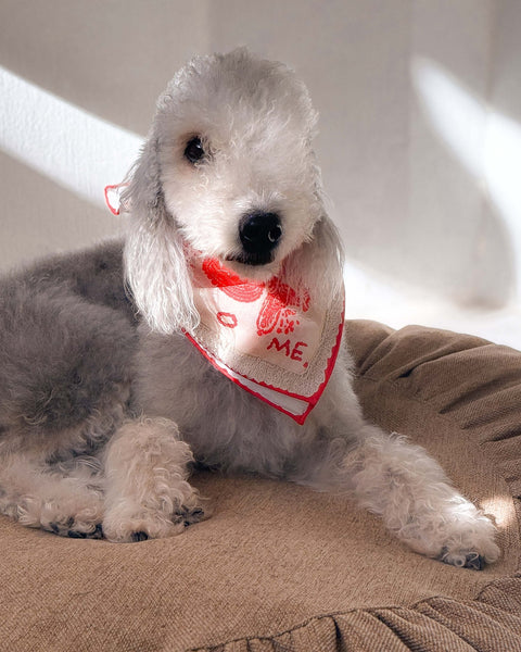Kırmızı Lovefold Bandana - Pet + İnsan Aksesuarı