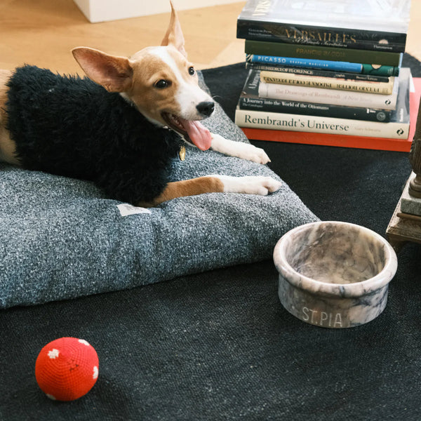 Polka Dot El Yapımı Kedi + Köpek Oyuncağı