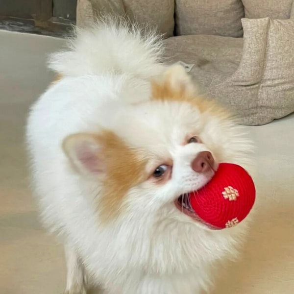 Polka Dot El Yapımı Kedi + Köpek Oyuncağı