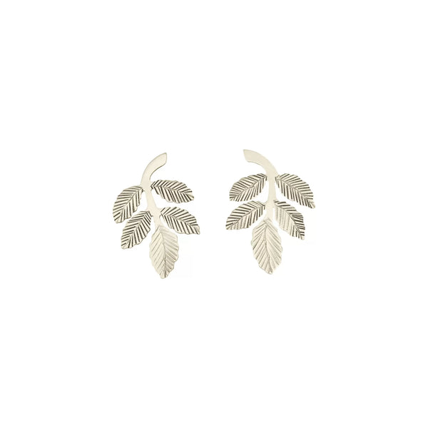 IVY KÜPE – GÜMÜŞ