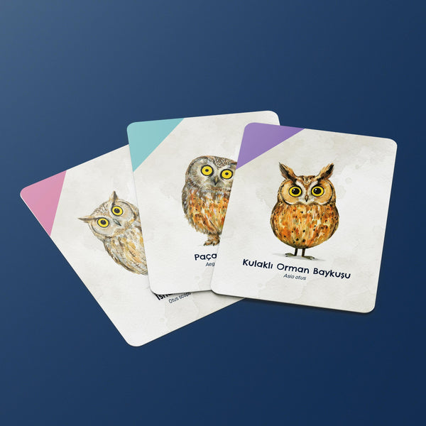Uyanık Kedi Kart Oyunu – Dikkat Odaklı Eğlence